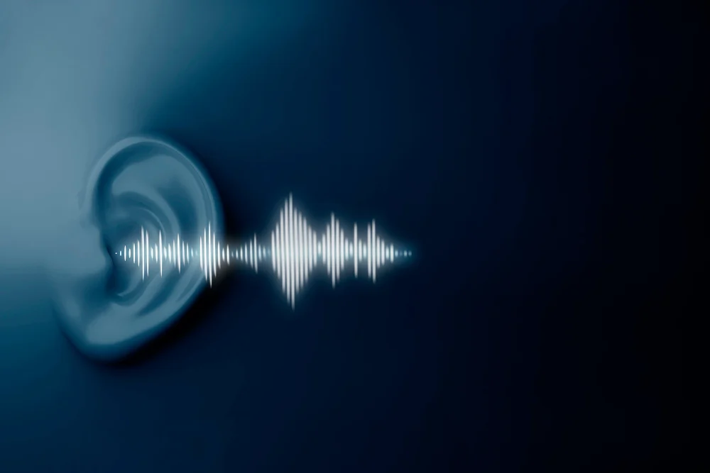 Acoustic Soundproofing in Bangalore
