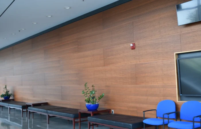 Noise Control in Healthcare Hospitality Schools & Public Spaces