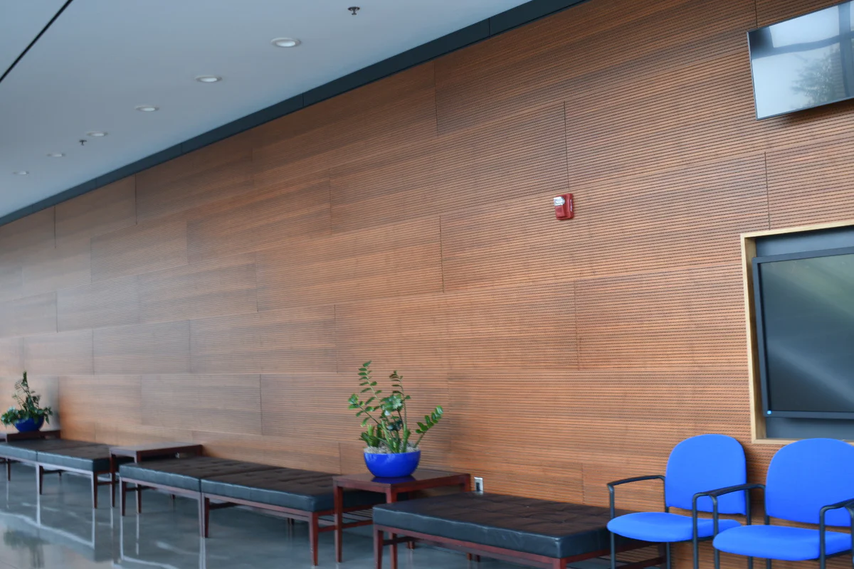 Noise Control in Healthcare Hospitality Schools & Public Spaces